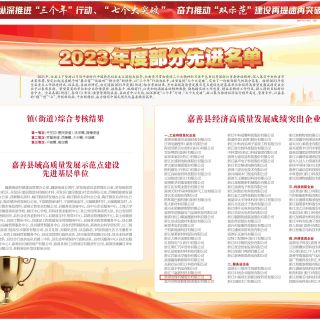 載譽(yù)啟新程！熱烈祝賀邊鋒上榜“嘉善縣經(jīng)濟(jì)高質(zhì)量發(fā)展成績(jī)突出企業(yè)”