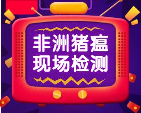 適合非瘟現(xiàn)場(chǎng)檢測(cè)的新產(chǎn)品 - 基因試紙管